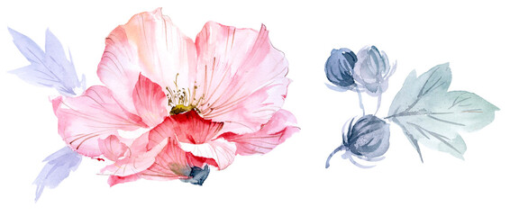 Watercolor illustration of flowers and leaves.Manual composition.Design for cover, fabric, textile, wrapping paper .