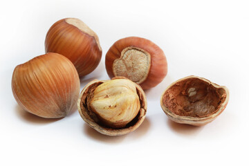  Hazelnuts isolated on white background.  Studio shot.