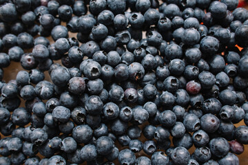 Blueberry. New harvest of blueberry.