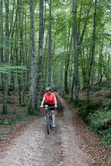 biking in the forest