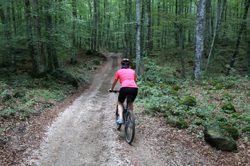 Naklejka premium biking in the forest trees