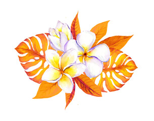 Autumn exotic flowers, tropical leaves. Watercolor frangipani plumeria and monstera © zzorik