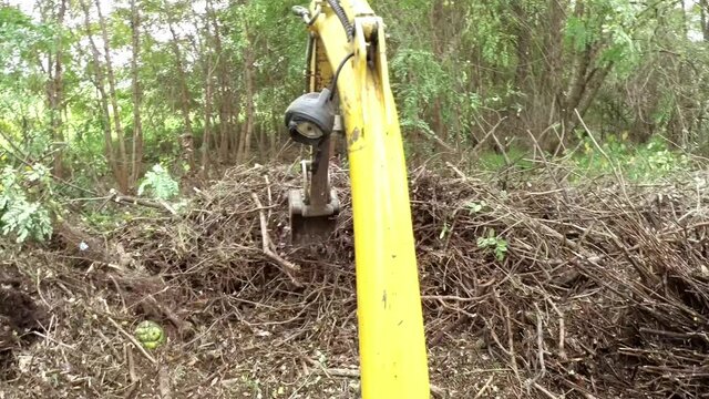 Yellow Excavator Man Pov Working at Forest