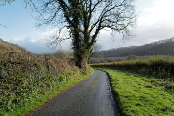 Fototapeta na wymiar Small country road in Wales with valley and hills in the distance - shot in autumn