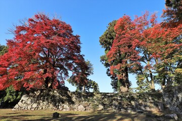 奈良県　高取城の紅葉