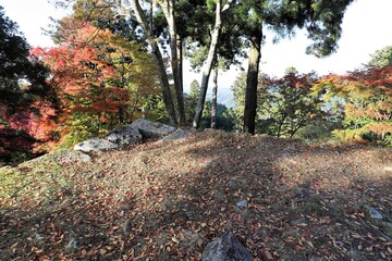 奈良県　高取城の紅葉