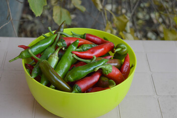 Harvest of bitter red pepper in Minsk on the table in the yard.
