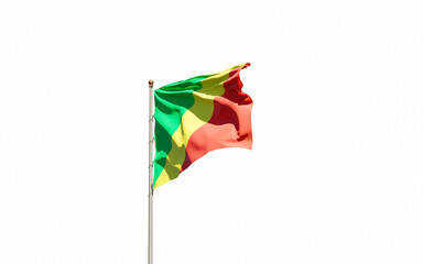 Congo national flag on white background isolated.