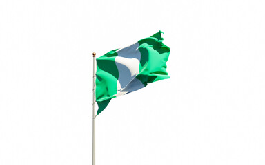 Nigeria national flag on white background isolated.