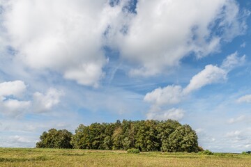 Bild einer Baumgruppe auf einer Wiese mit Himmel und Wolken im Hintergrund einer ländlichen Gegend in Bayern, Deutschland