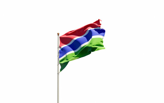 Gambia National Flag On White Background Isolated.