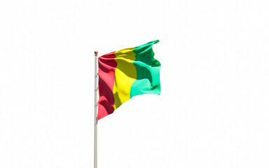 Guinea national flag on white background isolated.