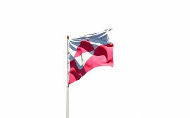 Grennland national flag on white background isolated.