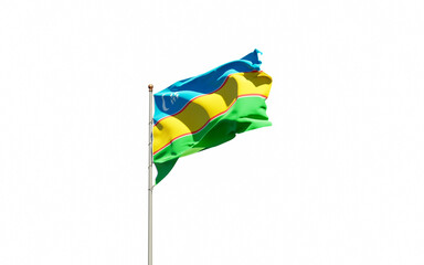 Karakalpakstan national flag on white background isolated.