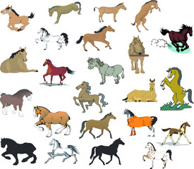 collection of horses