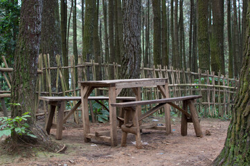 wooden bench in forest