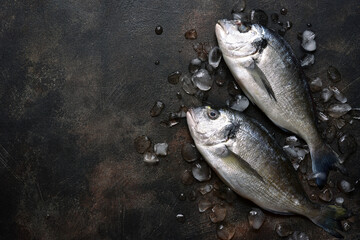 Raw chilled dorado fish on an ice cubes. Top view with copy space.