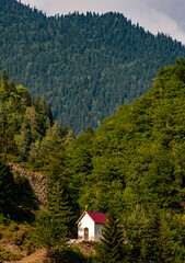 Chapel in the forest along the road from Zugdidi to Mestia, Georgia following the Enguri River