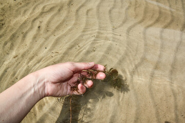 sand in hands