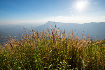 The top corner of Phu Tub Berk on the top of the mountain overlooking Khao Kho and beautiful scenery.