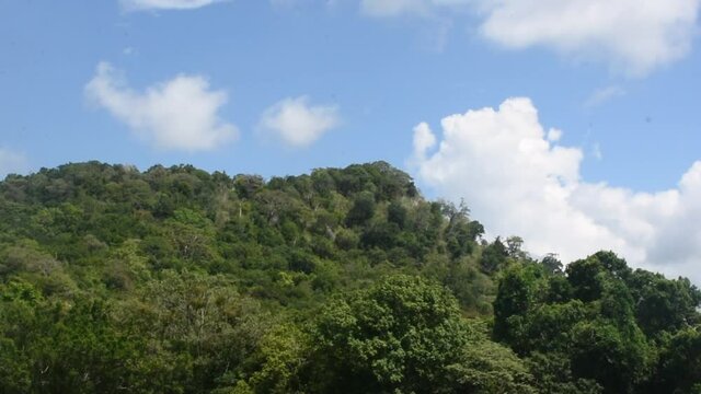 Rainy cloud moving over the tropical forest mountain. timelapse video shot for dast moving clouds