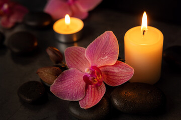 Obraz na płótnie Canvas orchid flower with spa stones and candles. beauty treatment concept