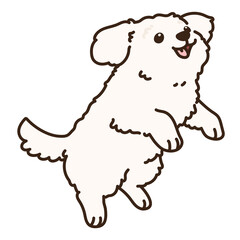 Outlined simple and adorable white Maltese dog jumping illustration