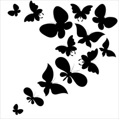 butterfly733