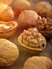 Walnuts in shell on a wooden background and empty space for text