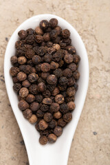 Four Seasons Pepper on beautiful textured background