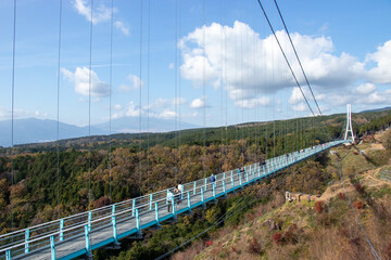 Fototapeta na wymiar 富士山と吊り橋