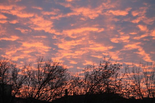 pink sky at dawn close-up