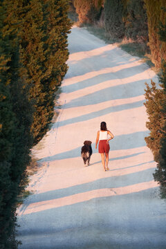 viale alberato, cipressi, donna e cane
