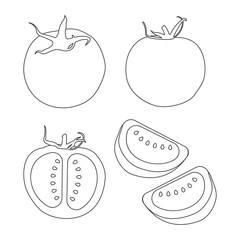 Tomatoes vector line icons set isolated on a white background.
