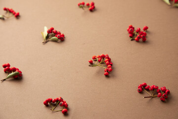 christmas background with red berries of pyracantha coccinea plant