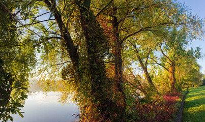 Naklejka na ściany i meble Path along the bank of pond with trees in autumn