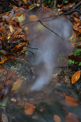 Stream flowing through an Autumnal Landscape