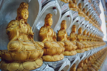 Fototapeta premium golden buddha statue