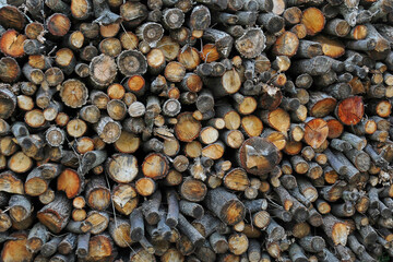 mur de buches de bois sylviculture