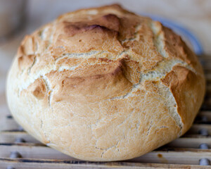 Pan casero crujiente y delicioso