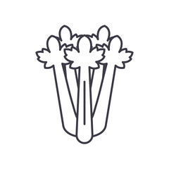 Celery concept icon, linear isolated illustration, thin line vector, web design sign, outline concept symbol with editable stroke on white background.