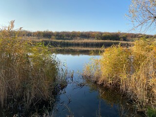 Scene lake. Fishing spot background. Autumn river landscape. Autumn river and clear blue sky.