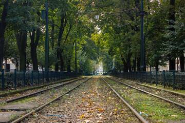 Railway during early autumn in Poland