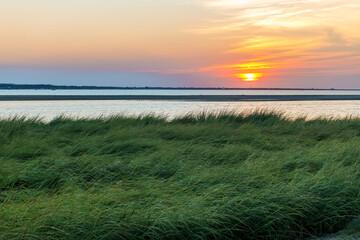 Sea Grass Sunset