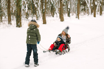 Mother and children enjoying sleigh ride. Happy family with sled in winter having fun together.