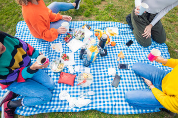 Four unrecognizable friends having picnic park