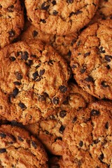 Delicious oatmeal cookies with chocolate on the table
