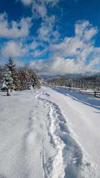 Countryside hills, groves and farmlands in winter remote alpine mountain village