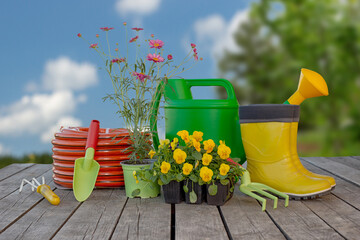Fototapeta premium Gardening tools and flowers on wooden background