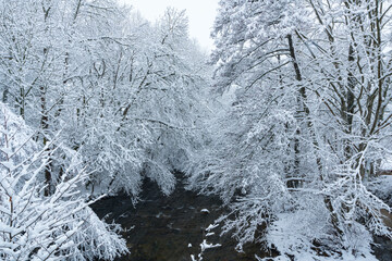 Bayas or Baias River, Gorbeia Natural Park, Alava, Basque Country, Spain, Europe